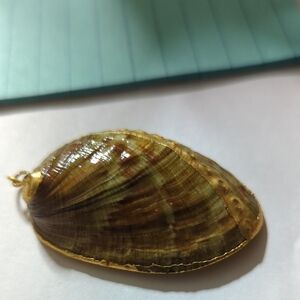 Gold Trimmed Shell Pendant